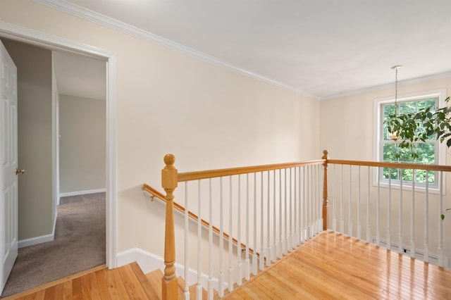 202 Cherry Valley Rd, Alton, NH 03810 - staircase with wood finished floors, crown molding, and a baseboard heating unit