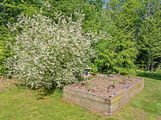 202 Cherry Valley Rd, Alton, NH 03810 - view of green lawn