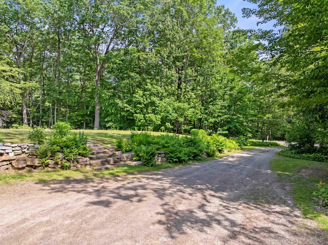 202 Cherry Valley Rd, Alton, NH 03810 - view of street featuring a forest view