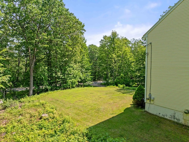 202 Cherry Valley Rd, Alton, NH 03810 - view of grassy yard