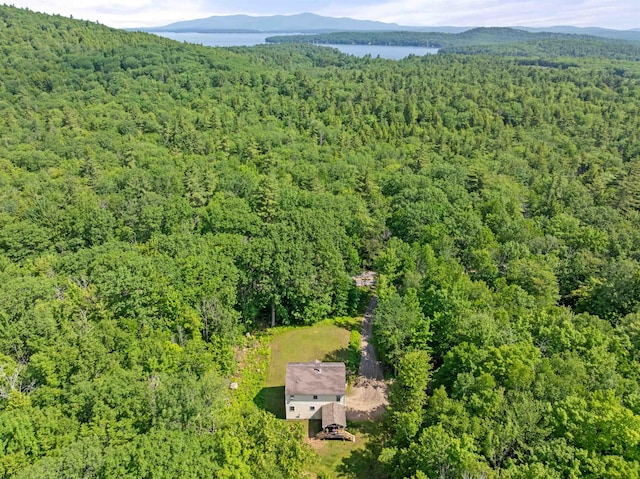 202 Cherry Valley Rd, Alton, NH 03810 - bird's eye view of a heavily wooded area and a water and mountain view