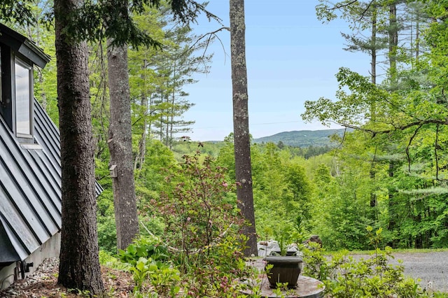 812 Airport Rd, Fayston, VT 05660 - view of yard with a view of trees