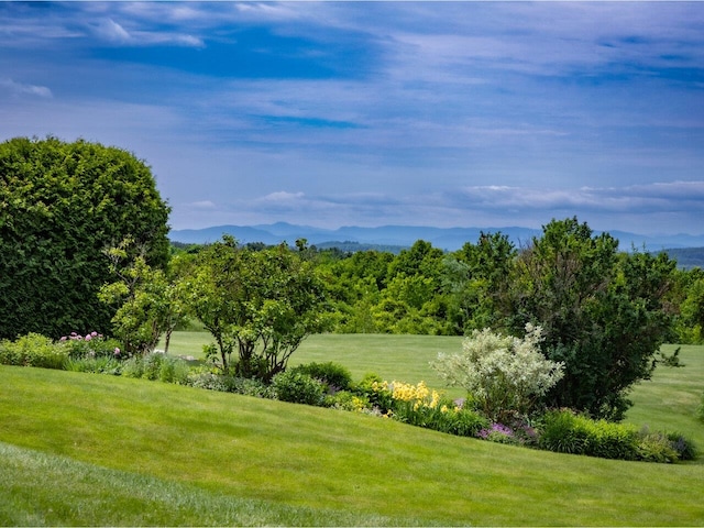 1411 Spear St, South Burlington, VT 05403 - view of grassy yard