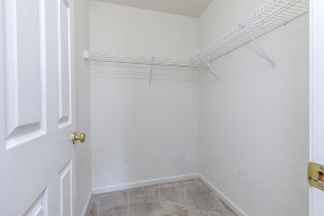 491 Mammoth Rd Unit 7, Londonderry, NH 03053 - walk in closet with carpet