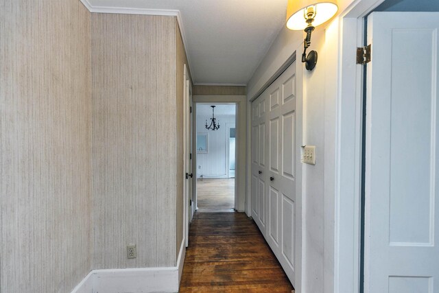 102 W Merrimack St Unit 1, Manchester, NH 03101 - hall featuring dark wood-style flooring and ornamental molding