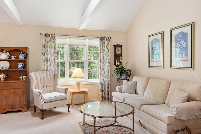 3 Chandler Dr, Atkinson, NH 03811 - living room with carpet and baseboards