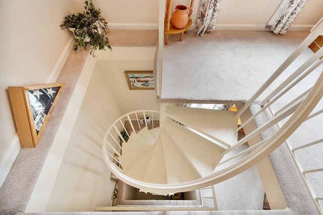 3 Chandler Dr, Atkinson, NH 03811 - stairway featuring carpet floors