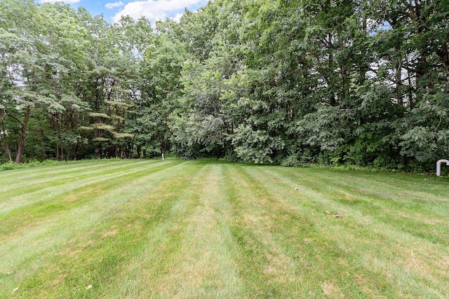 3 Chandler Dr, Atkinson, NH 03811 - view of grassy yard