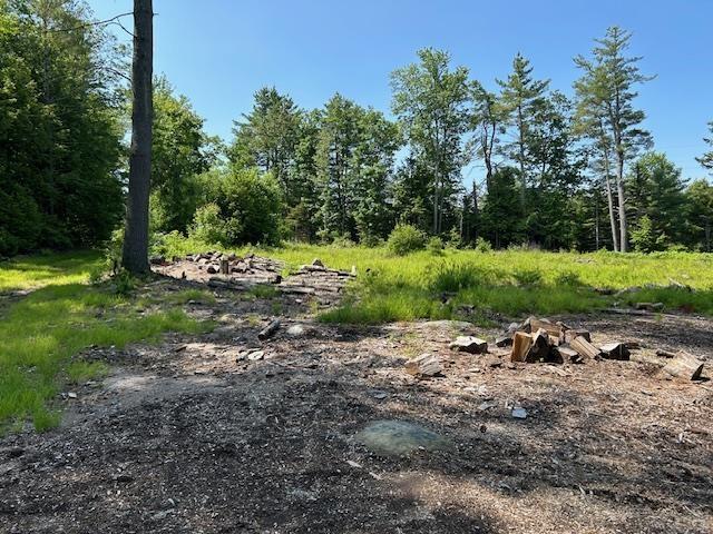 310 Nh Route 119th Rte, Fitzwilliam, NH 03461 - view of local wilderness