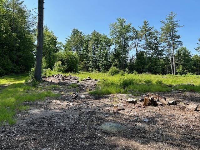 310 Nh Route 119th Rte, Fitzwilliam, NH 03461 - view of undeveloped land