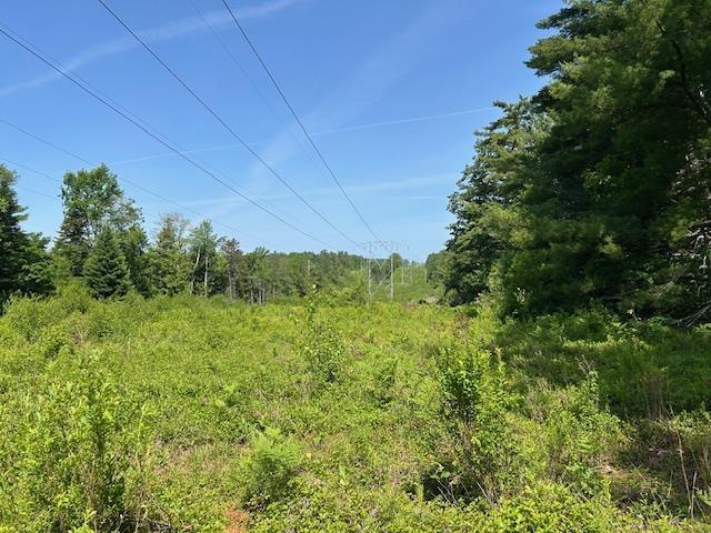 310 Nh Route 119th Rte, Fitzwilliam, NH 03461 - view of local wilderness