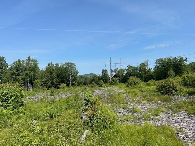 310 Nh Route 119th Rte, Fitzwilliam, NH 03461 - view of undeveloped land