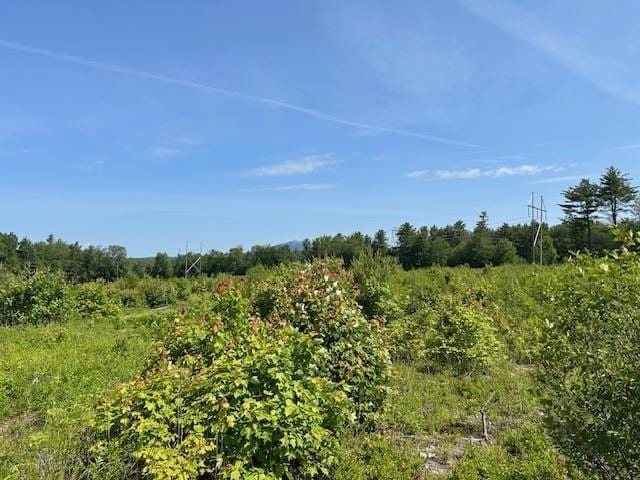 310 Nh Route 119th Rte, Fitzwilliam, NH 03461 - view of undeveloped land