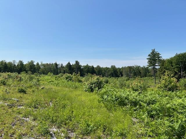 310 Nh Route 119th Rte, Fitzwilliam, NH 03447