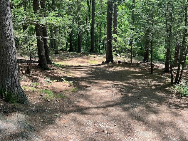 224 Nippo Ct, Barrington, NH 03825 - view of road with a view of trees
