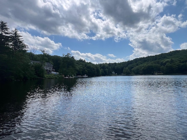 224 Nippo Ct, Barrington, NH 03825 - water view with a heavily wooded area