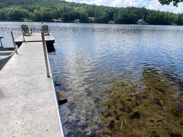 224 Nippo Ct, Barrington, NH 03825 - dock area with a water view and a view of trees
