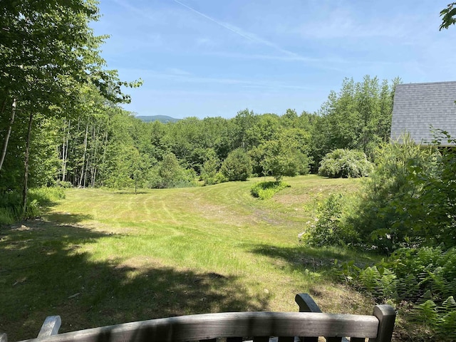 69 Emerson Hill Rd, New Ipswich, NH 03071 - view of yard with a forest view