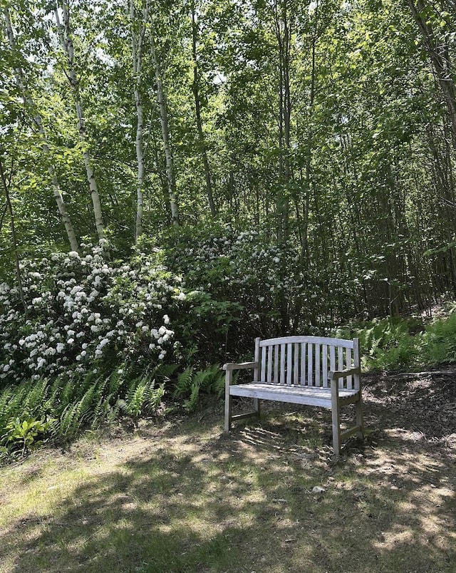 69 Emerson Hill Rd, New Ipswich, NH 03071 - view of yard