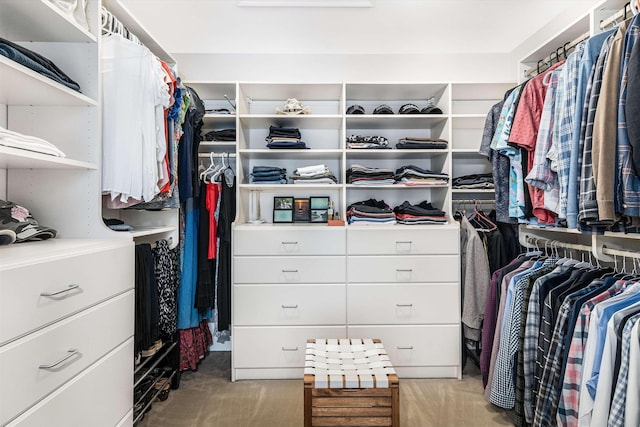 11 Mcafee Farm Rd, Bedford, NH 03110 - spacious closet with carpet