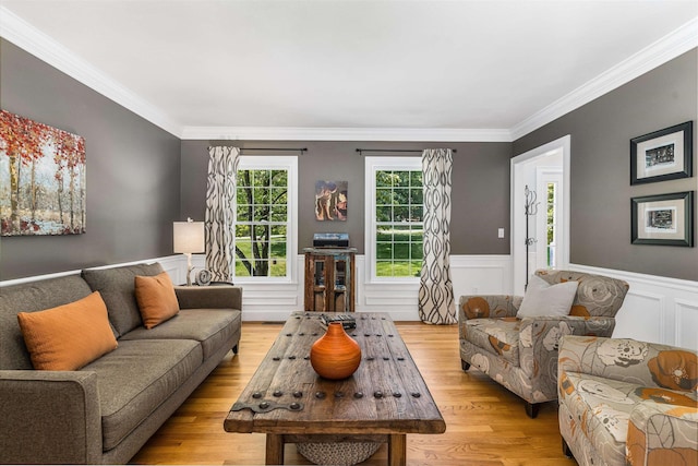 11 Mcafee Farm Rd, Bedford, NH 03110 - living room with light wood-style flooring, crown molding, and a wainscoted wall