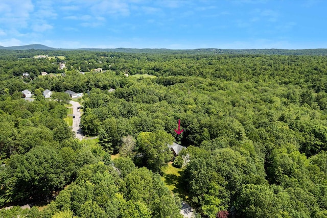 11 Mcafee Farm Rd, Bedford, NH 03110 - drone / aerial view of a forest