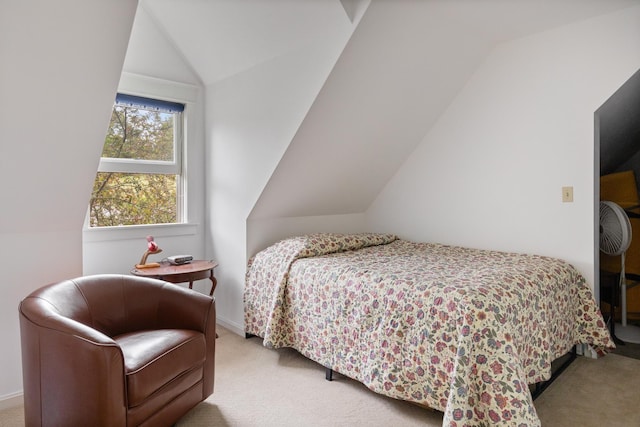 204 Mary Dr, Richmond, VT 05477 - carpeted bedroom with lofted ceiling