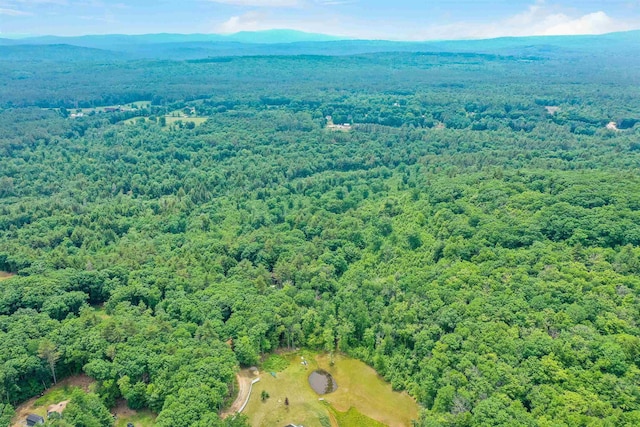 231 Mutton Rd, Webster, NH 03303