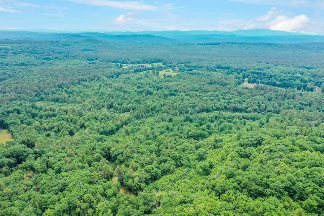 231 Mutton Rd, Webster, NH 03303
