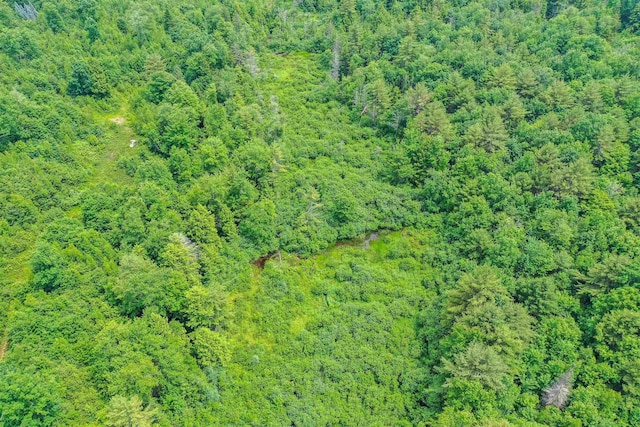 231 Mutton Rd, Webster, NH 03303