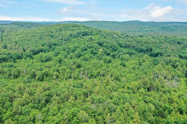 231 Mutton Rd, Webster, NH 03303