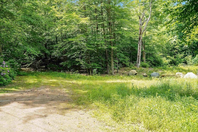 231 Mutton Rd, Webster, NH 03303