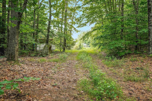 231 Mutton Rd, Webster, NH 03303