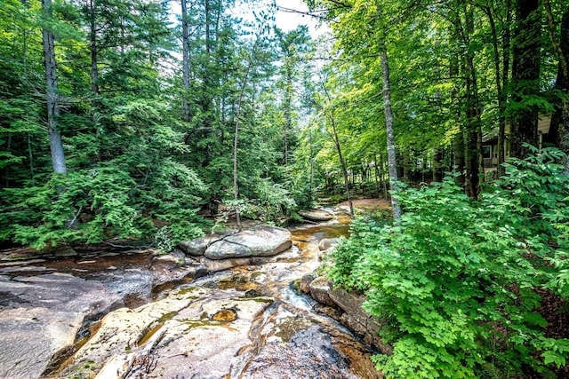 679 Kearsarge Rd, Conway, NH 03860 - view of wooded area
