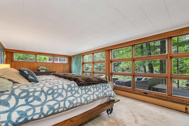 679 Kearsarge Rd, Conway, NH 03860 - bedroom featuring carpet, a baseboard heating unit, and wooden walls