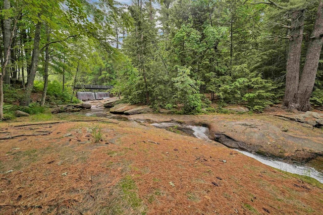 679 Kearsarge Rd, Conway, NH 03860 - view of yard