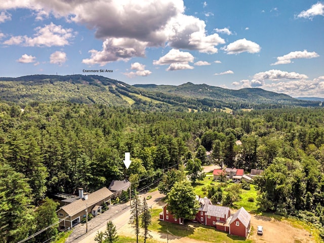 679 Kearsarge Rd, Conway, NH 03860 - bird's eye view of a forest and a mountain backdrop