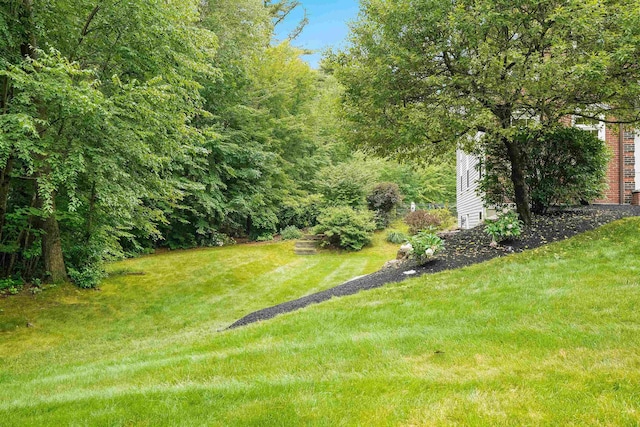 4 Chablis Ct, Bedford, NH 03110 - view of grassy yard