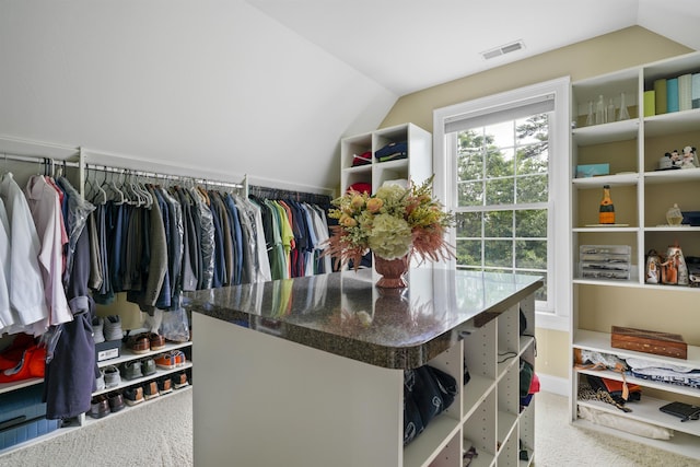 4 Chablis Ct, Bedford, NH 03110 - walk in closet with lofted ceiling