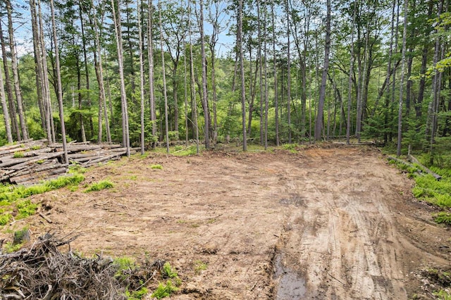 44 Mcquade Brook Rd, Bedford, NH 03110 - view of nature