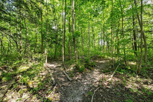 473 Brennan Woods Dr, Williston, VT 05495 - view of woods