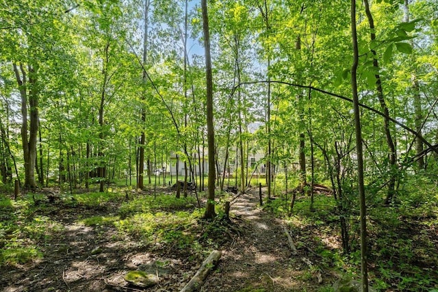 473 Brennan Woods Dr, Williston, VT 05495 - view of undeveloped land
