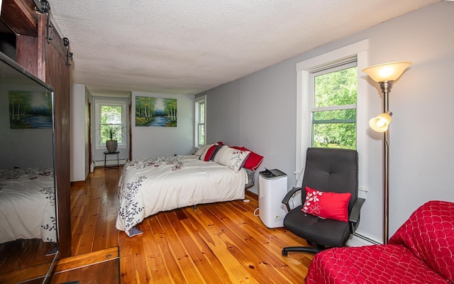 33 Hillside Rd, Kingston, NH 03848 - bedroom featuring light wood-type flooring, baseboard heating, a textured ceiling, multiple windows, and a barn door