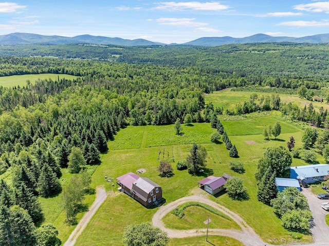 174 E Colebrook Rd, Colebrook, NH 03576 - drone / aerial view of a heavily wooded area and a mountainous background