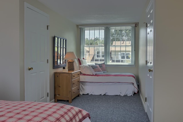 38C Stonehouse Ln, Keene, NH 03431 - bedroom with carpet and baseboards