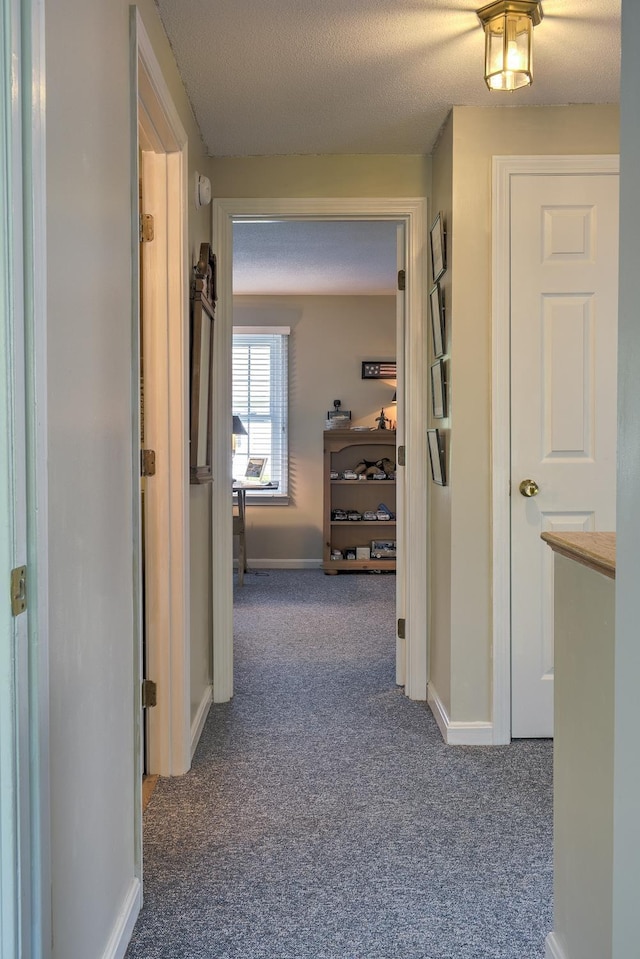 38C Stonehouse Ln, Keene, NH 03431 - hall featuring carpet flooring and a textured ceiling