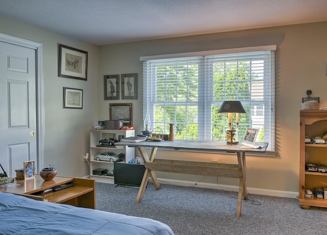 38C Stonehouse Ln, Keene, NH 03431 - bedroom with carpet flooring and a desk