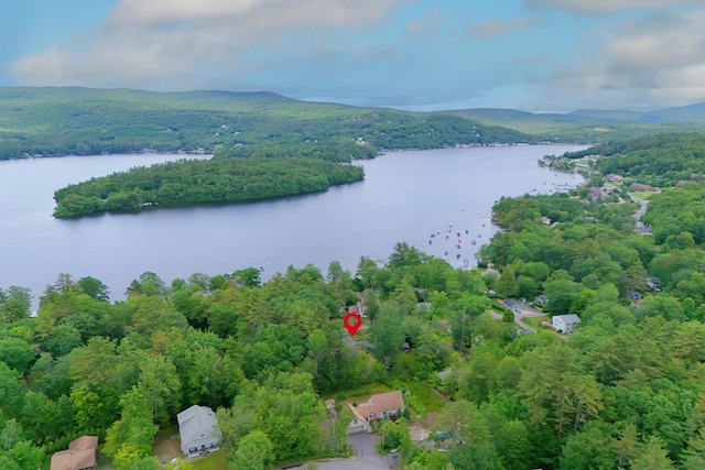 85 Lakeview Ave, Bristol, NH 03222 - bird's eye view of a forest and a nearby body of water