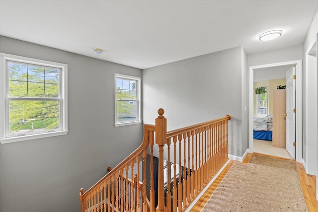 25 Sweetbrier Way, Laconia, NH 03246 - hallway featuring an upstairs landing and wood finished floors