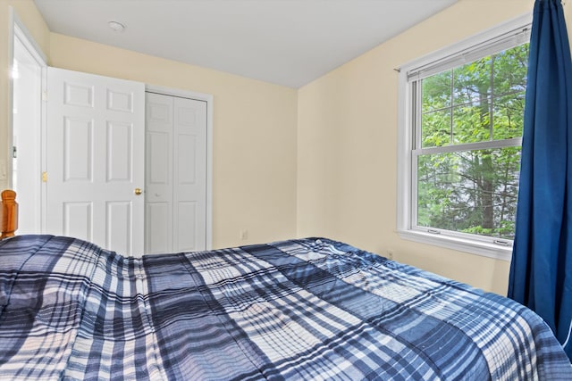 25 Sweetbrier Way, Laconia, NH 03246 - bedroom with a closet